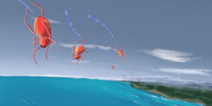 Blogpage 2 – Electric Spiderwebs Blogpage 2 – Electric Spiderwebs
