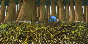 Blogpage 3 – The Secret language of the ecosystem Blogpage 3 – The Secret language of the ecosystem