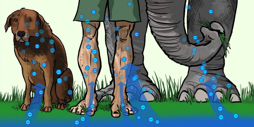 Blogpage 4 – Food for the feet