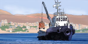 Coral reefs are electrical ecosystems – Picture 01