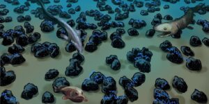 WhatsApp Image 2025-09-14 at 23.27.28