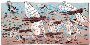 WhatsApp Image 2025-09-14 at 23.38.20