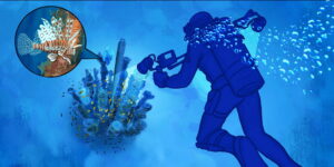 Coral reefs Extra – Picture 00 2×1